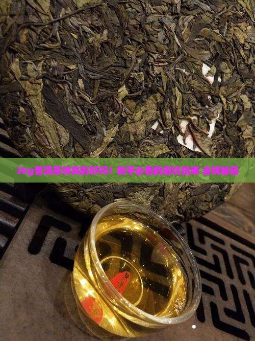 3kg普洱茶饼好吗值得买吗