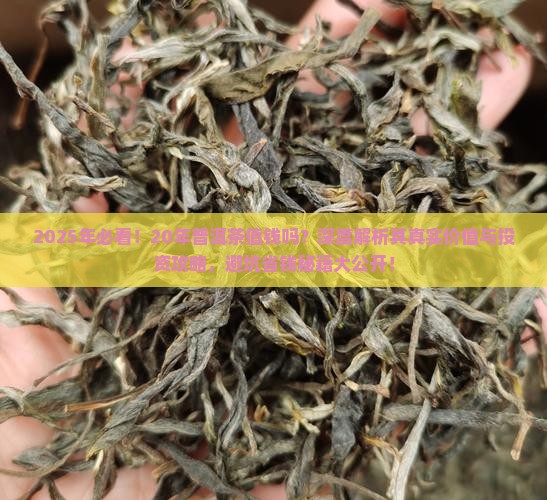 20年的普洱茶值钱吗吗