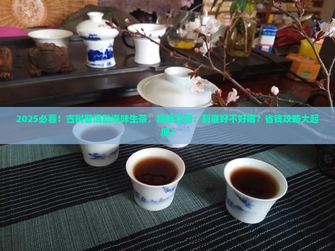 古树普洱茶勐海味生茶好喝吗