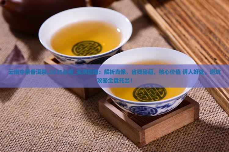 云南中茶普洱茶