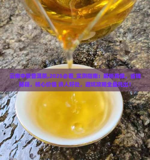 云南中茶普洱茶