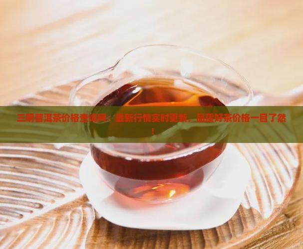 三明普洱茶价格查询网