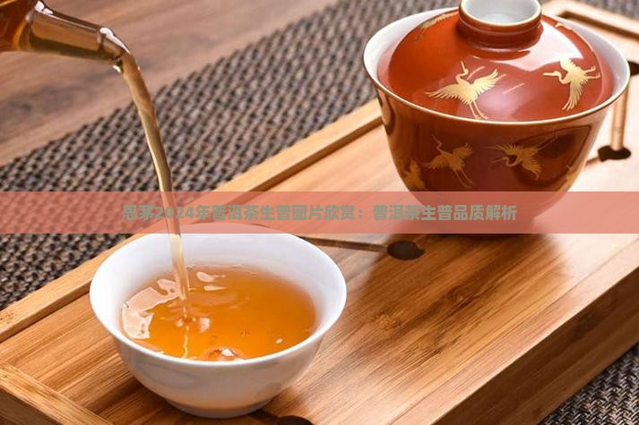 思茅2024年普洱茶生普