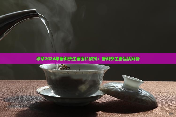思茅2024年普洱茶生普