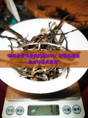 薄荷塘普洱茶的价值
