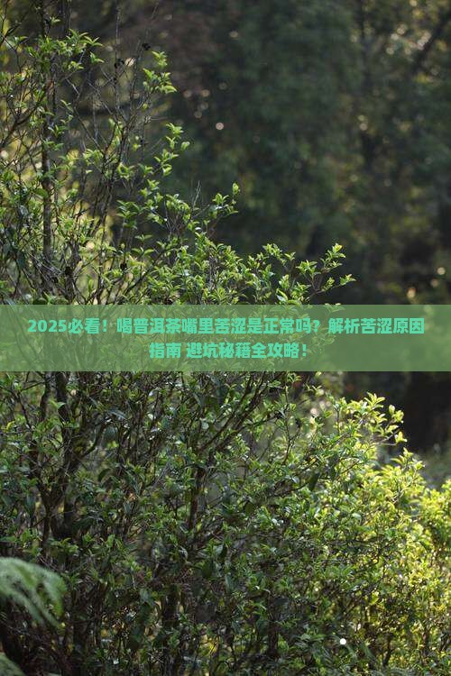 喝普洱茶嘴里有苦涩感正常吗