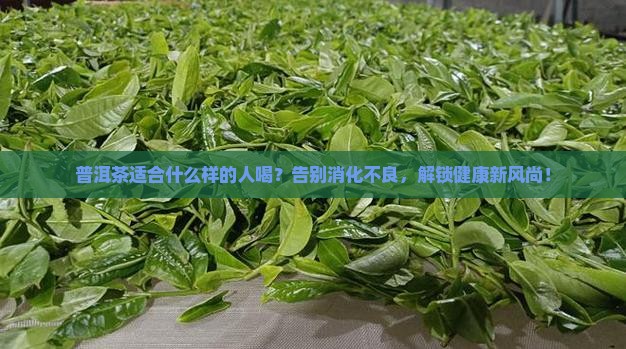 普洱茶的适合什么样的人喝 普洱茶的适合什么样的人喝