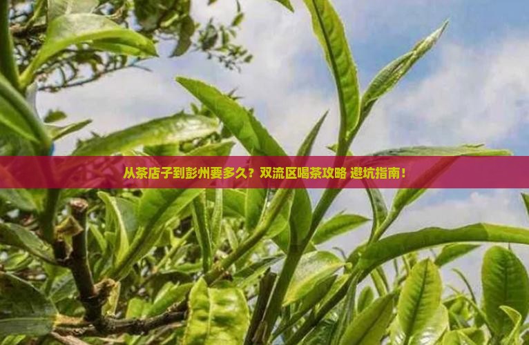 茶店子到彭州多久时间双流区喝茶