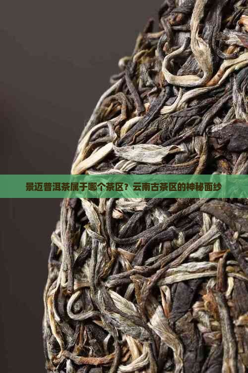 景迈普洱茶属于哪个茶区