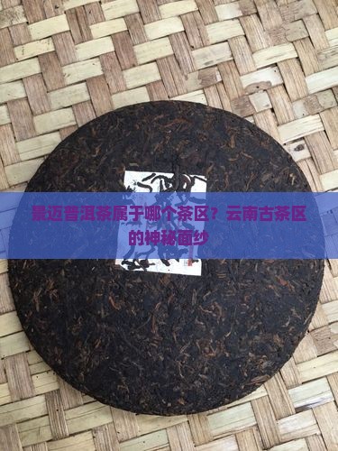 景迈普洱茶属于哪个茶区