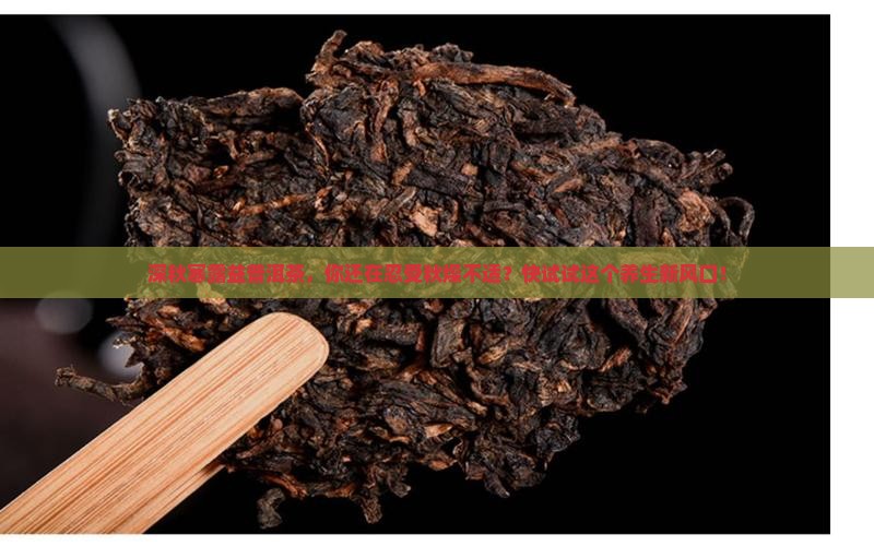 深秋寒露益普洱茶