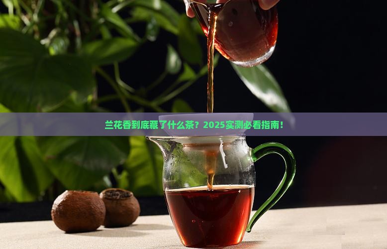 兰花香是什么茶