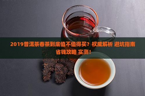 2019普洱茶春茶情况