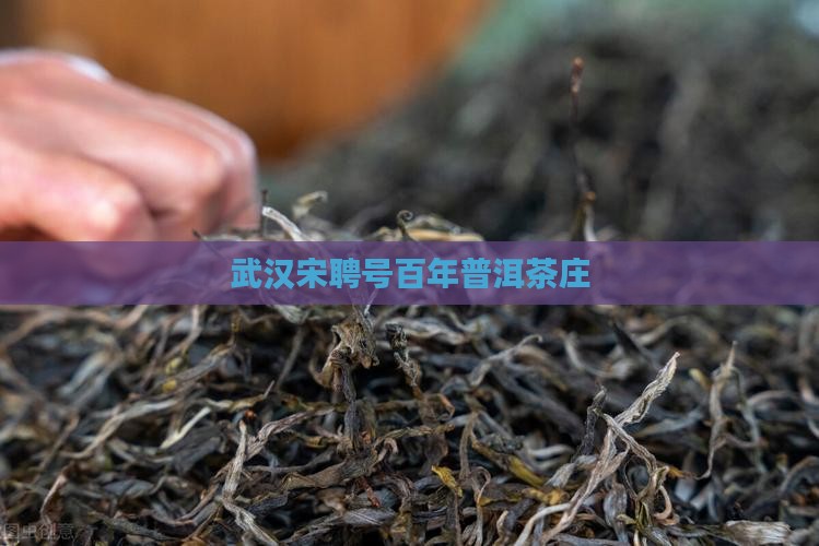 武汉宋聘号普洱茶