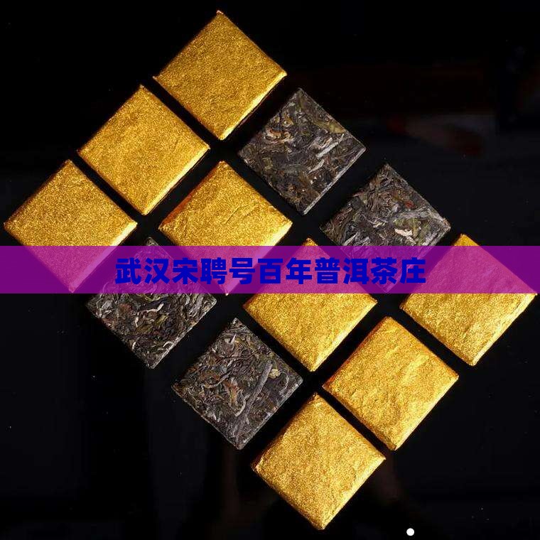 武汉宋聘号普洱茶