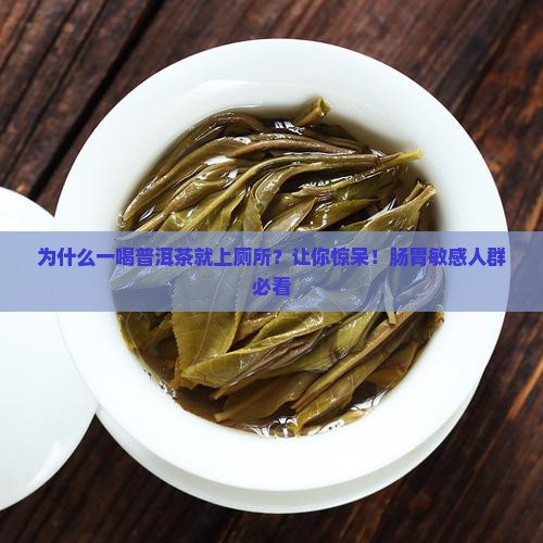 为什么一喝普洱茶就上厕所