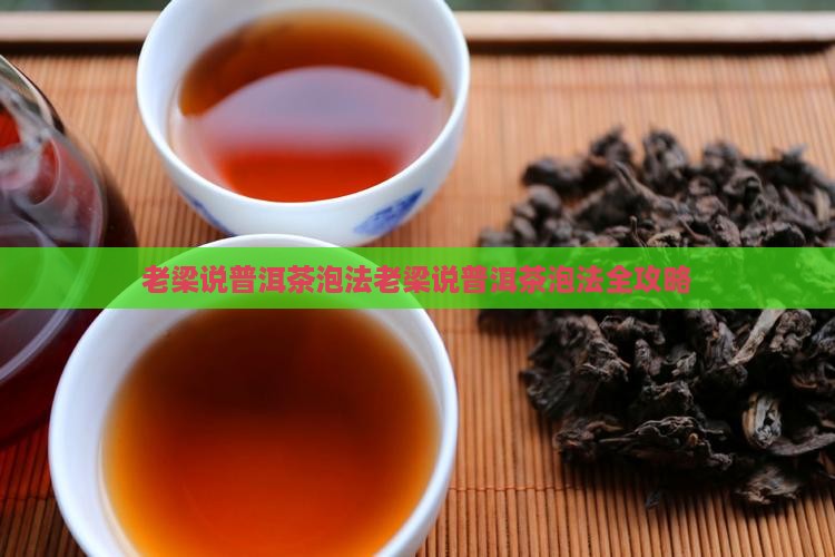 老梁说普洱茶泡法