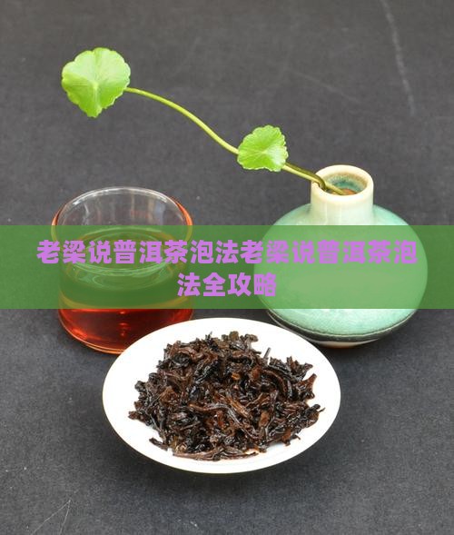 老梁说普洱茶泡法