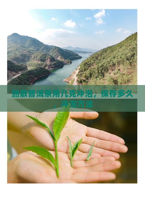 熟散普洱茶用几克冲泡