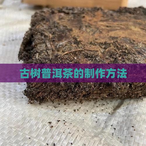 老树普洱茶的做法