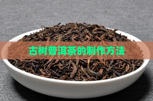 老树普洱茶的做法