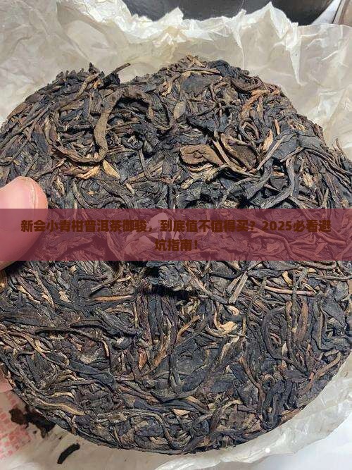 新会小青柑普洱茶御骏