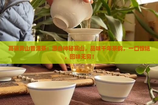 高丽贡山普洱茶