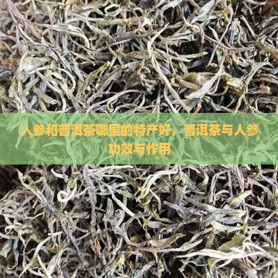人参和普洱茶哪里的特产