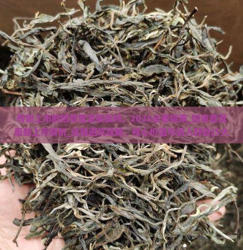 有新上市的班章普洱茶卖吗