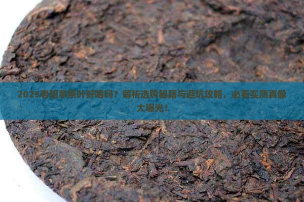 老班章的茶叶好喝么