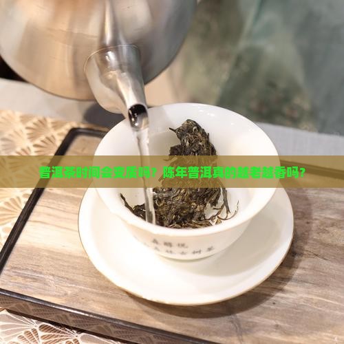 普洱茶时间会变质吗