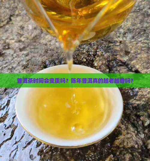 普洱茶时间会变质吗