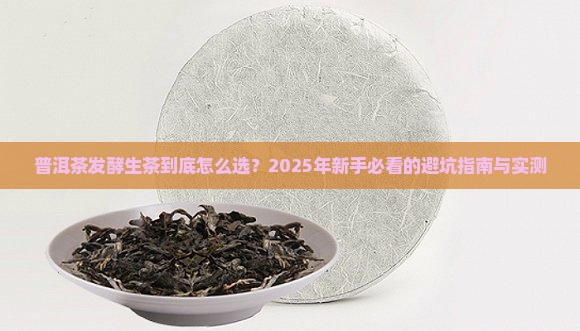 普洱茶发酵生茶