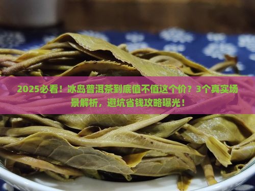 网友质疑冰岛普洱茶