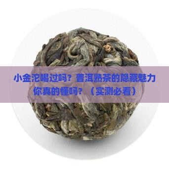 普洱熟茶小金沱