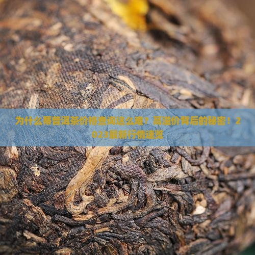 蒂普洱茶价格查询 蒂普洱茶价格查询