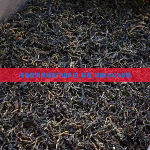 樟香普洱茶是哪个山头的