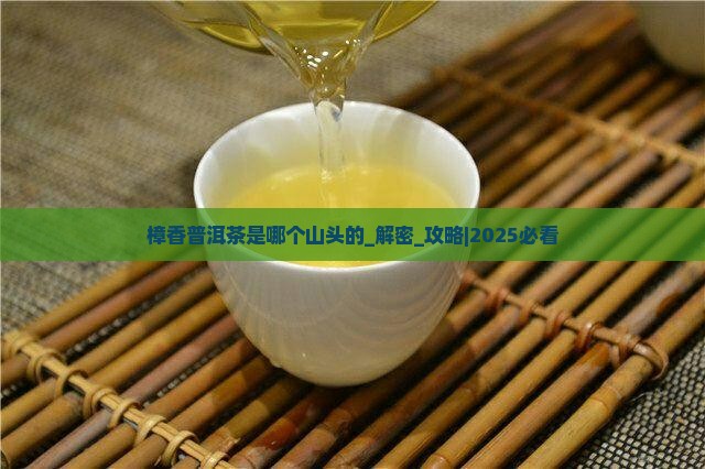 樟香普洱茶是哪个山头的