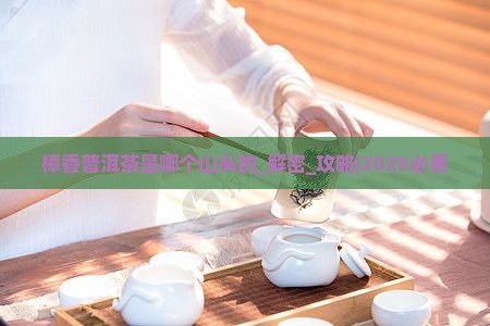 樟香普洱茶是哪个山头的