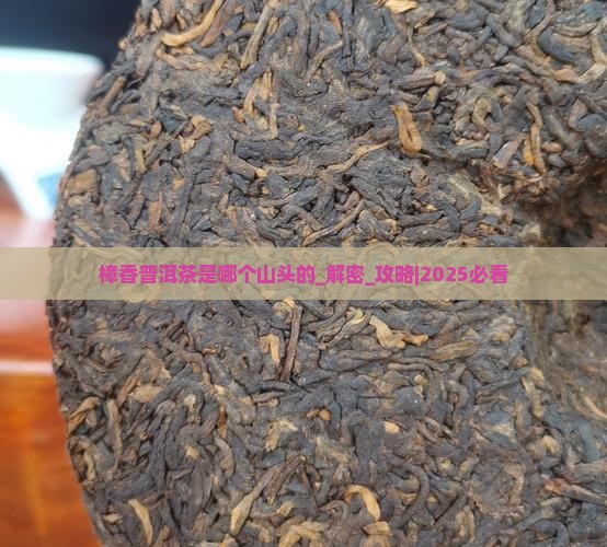 樟香普洱茶是哪个山头的