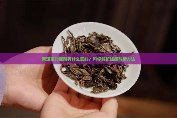 普洱茶对尿酸有什么影响