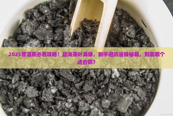 勐海茶叶普洱茶