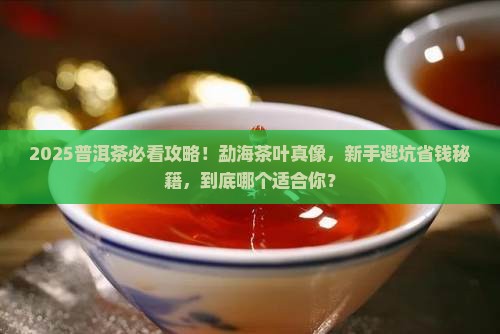 勐海茶叶普洱茶