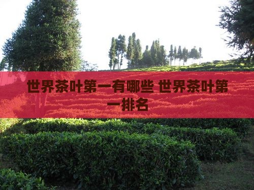 世界茶叶第一品牌