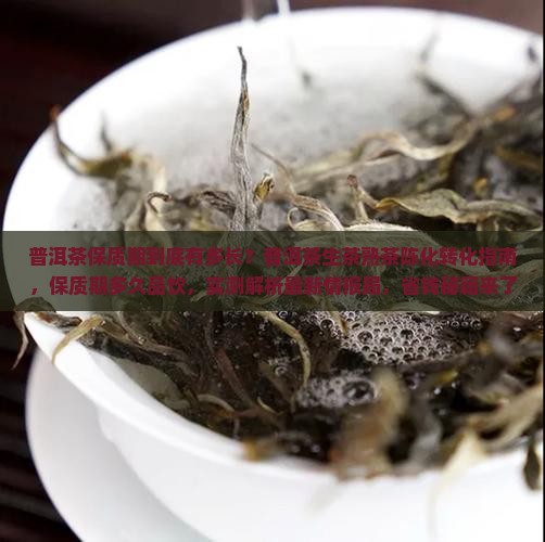 普洱茶的保质期有几年