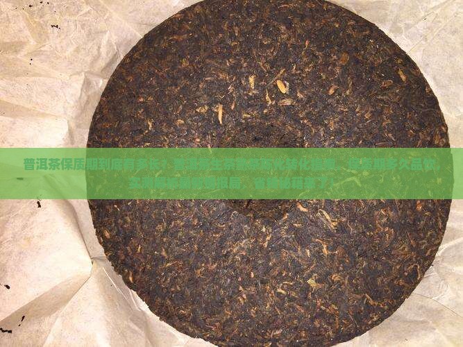 普洱茶的保质期有几年