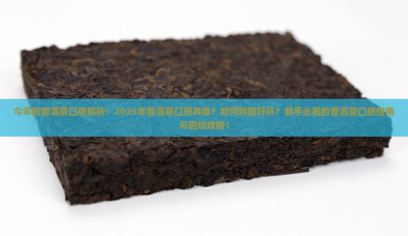 今年的普洱茶口感