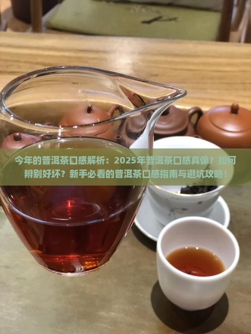 今年的普洱茶口感