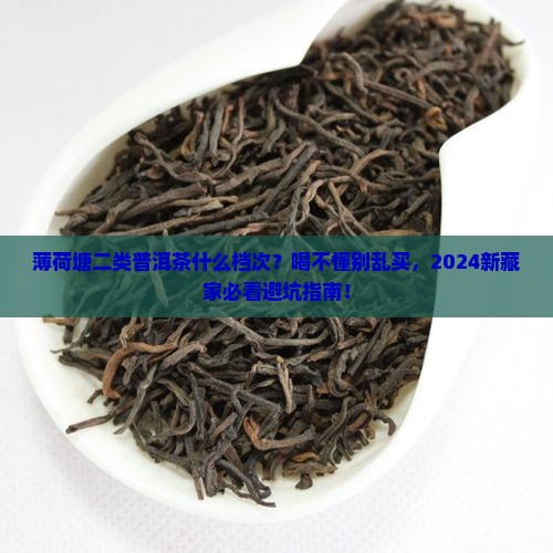 薄荷塘二类普洱茶什么档次