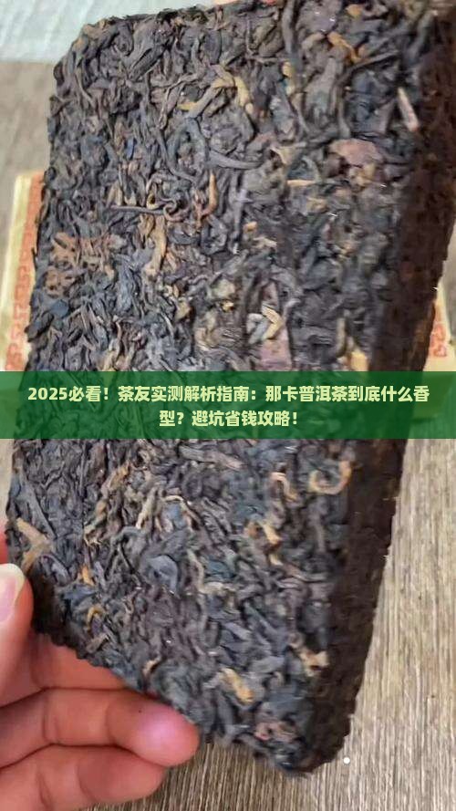 那卡普洱茶是什么香型